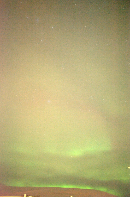 ../previews/004-DSC_5322.NEF.medium.jpeg
