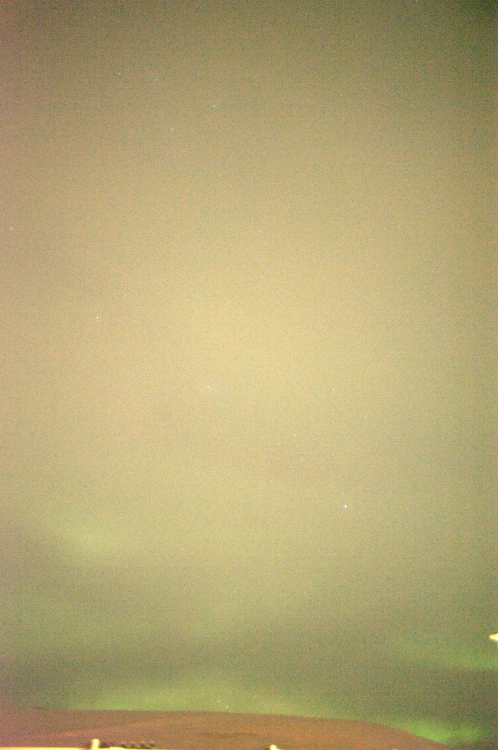 ../previews/015-DSC_5377.NEF.medium.jpeg