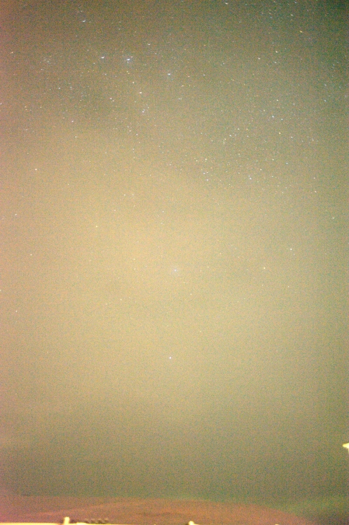 ../previews/037-DSC_5487.NEF.medium.jpeg