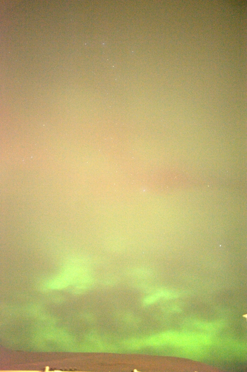 ../previews/058-DSC_5592.NEF.medium.jpeg