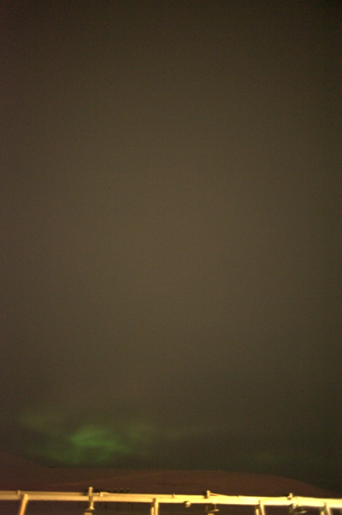 ../previews/135-DSC_5977.NEF.medium.jpeg